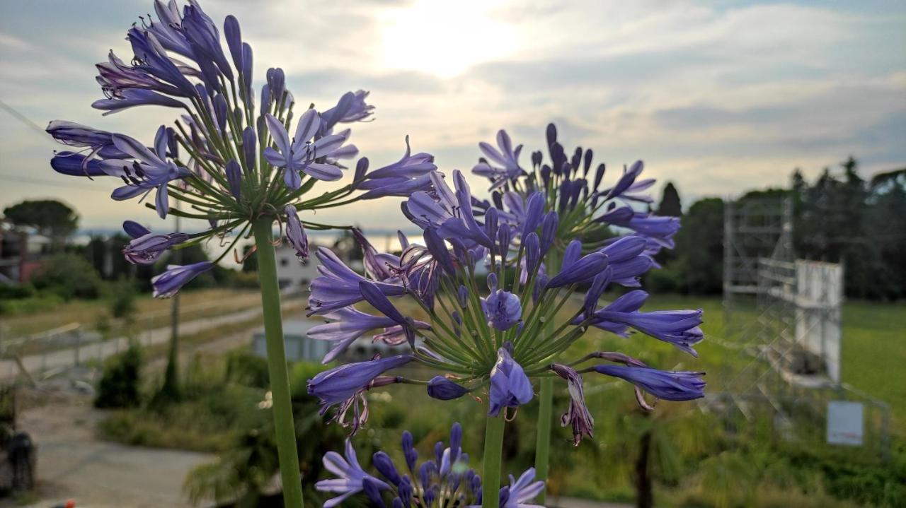 Villa Agapanto Pacengo Di Lazise
